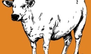 Beeskraal Ope Golf Dag