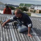 Bruce in action Bruce in action