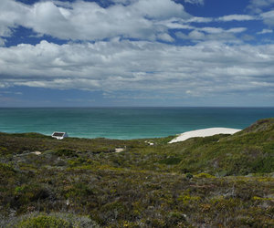 Discover the beauty of the Cape Floral Kingdom at De Hoop