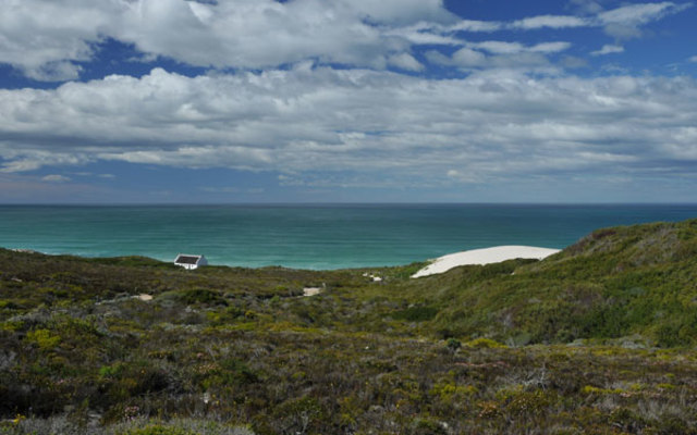 Fynobos and Whale Watching at De Hoop Fynobos and Whale Watching at De Hoop