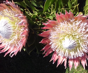 Seemeeu 3/2017: God se Woord verander ons