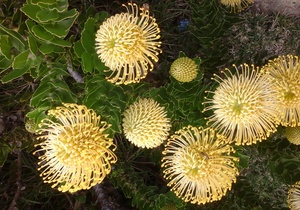 Wedloop van ons geloofslewe