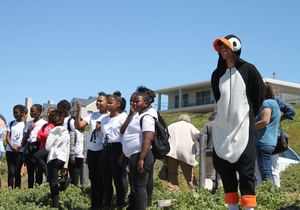 African Penguin Awareness Day