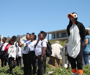 African Penguin Awareness Day
