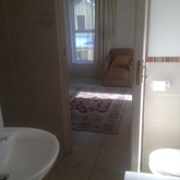 Flamingo from inside bathroom