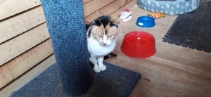 Dorie looking for a home