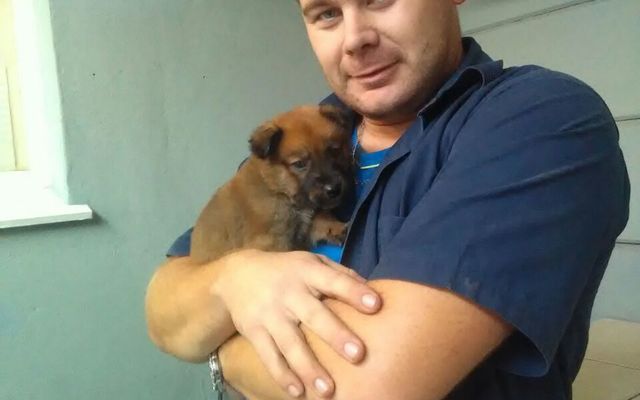 Veters_4__1508485820