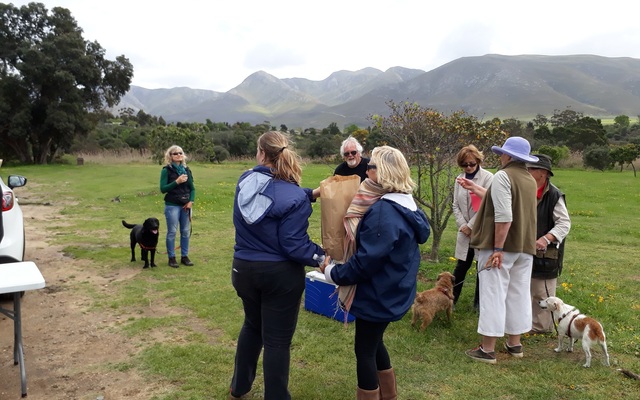 Nose_To_Tail_2017_53_new_1508486431