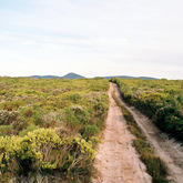 The road to the farm house