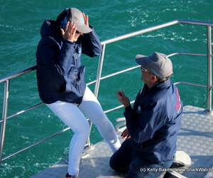 Welcome to The Secret Wedding Folks!!!