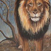 Gansbaai - Petro Shingalana - Lion