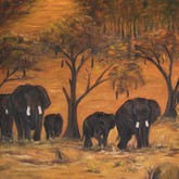 Gansbaai - Petro Shingalana - Elephant Herd