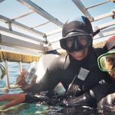 Cage Diving - White Shark Projects