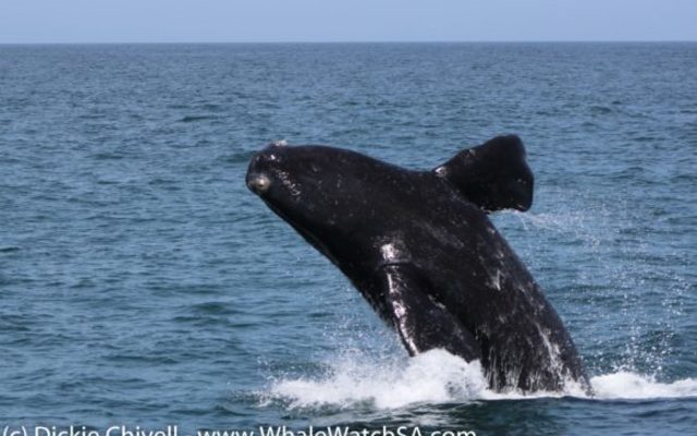 IMG_1043_1_580x387_1509634000 IMG_1043_1_580x387_1509634000