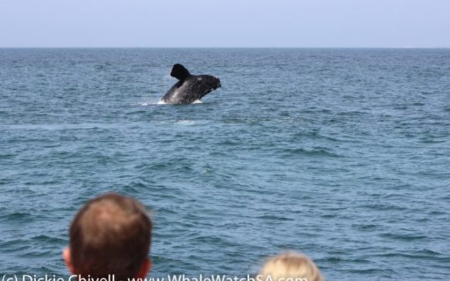 IMG_1097_580x387_1509634001 IMG_1097_580x387_1509634001