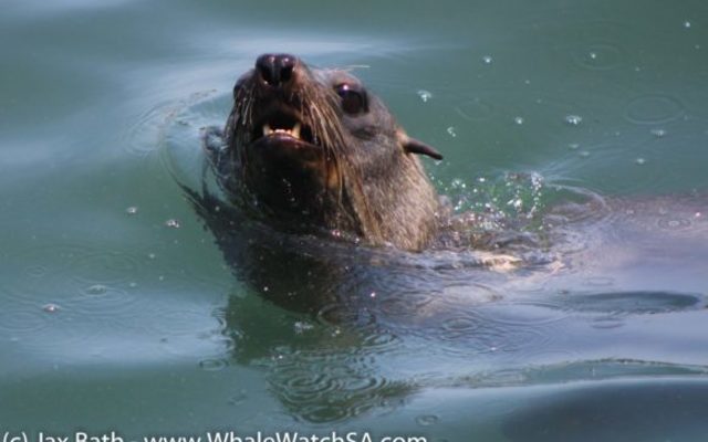 IMG_1139_580x387_1509634004 IMG_1139_580x387_1509634004