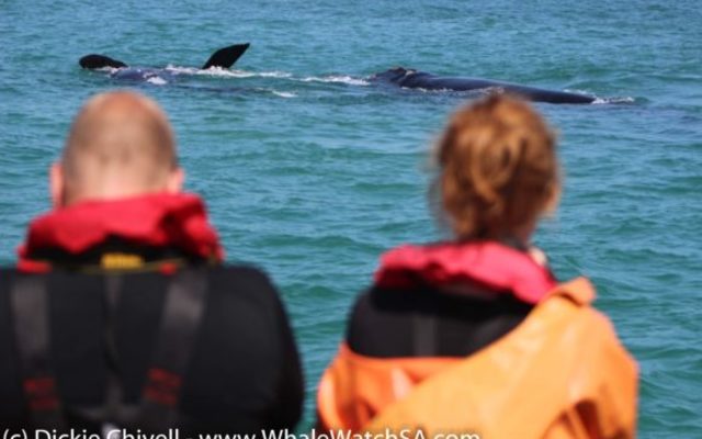 IMG_1177_580x387_1509634002 IMG_1177_580x387_1509634002