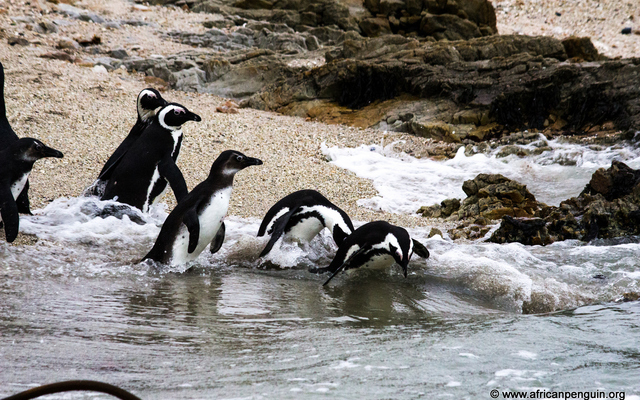 Release_23_Aug_3_1509975515