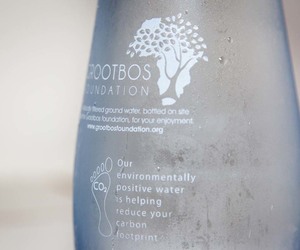 Grootbos wins WTM Responsible Tourism Award