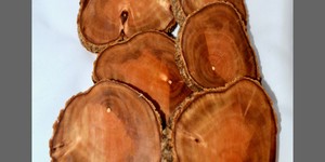 M + S Designs - Set of 6 Indigenous Coasters