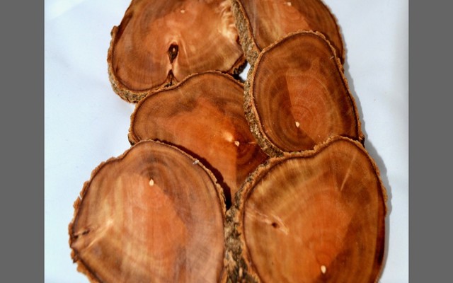 M + S Designs - Set of 6 Indigenous Coasters