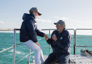 The Secret Shark Wedding