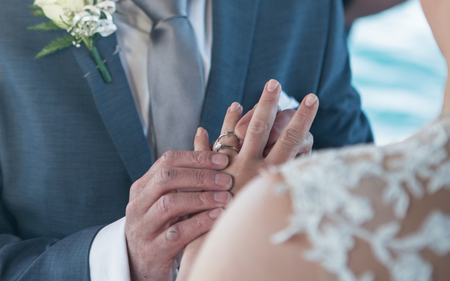 cage diving photographer, captured photography, sonja walker cage diving photographer, captured photography, sonja walker