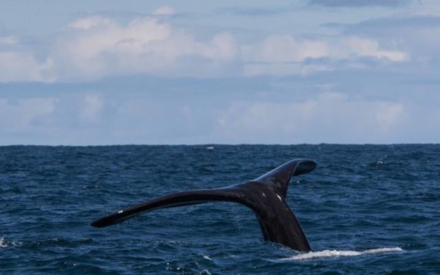 115A1206_580x406_1511593412 115A1206_580x406_1511593412