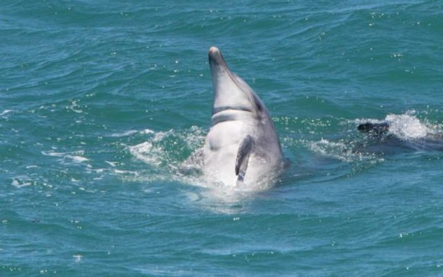 115A1438_580x445_1511593414 115A1438_580x445_1511593414