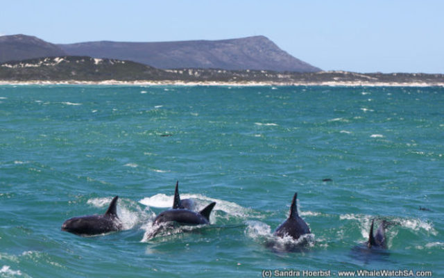 IMG_4366_580x387_1511593413 IMG_4366_580x387_1511593413