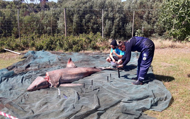 IMG_20171127_WA0005_1511944474