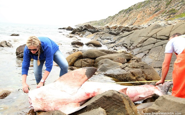 infanta2_001_1511944475