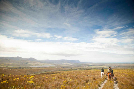 Copy_of_545677_162179023906233_1173586064_n_1512025726