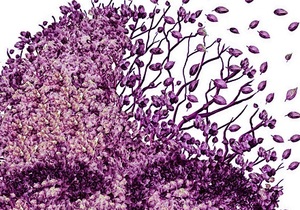 How not to get dementia