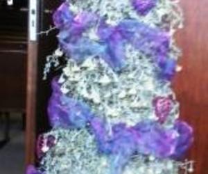 Seemeeu 4/2017: Om God in die kleine te sien