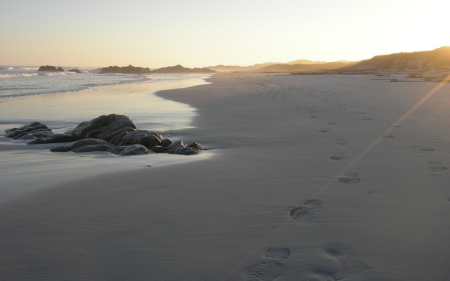 Sandy beaches, the perfect nature hikes at Pearly Beach 