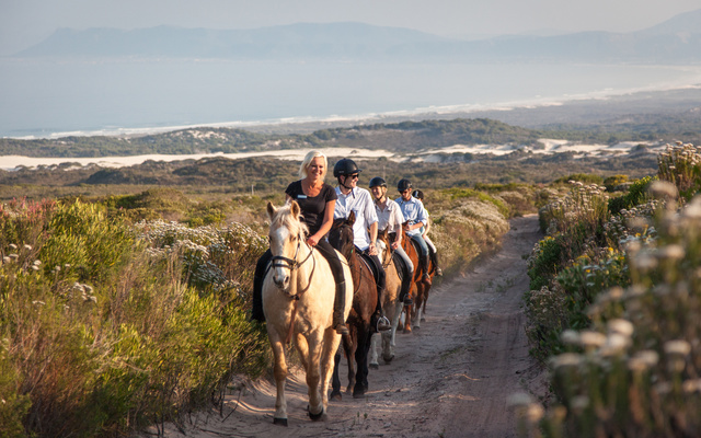 web_grootbos_experience_horse_riding_reserve_01_1512975822