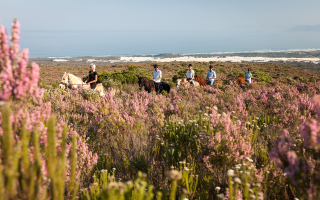 web_grootbos_experience_horse_riding_reserve_04_1512975823