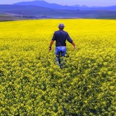 Overberg walking trails