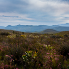 the reserve the reserve