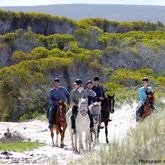 Horse Trails #gansbaaipearlybeachhorsetrails