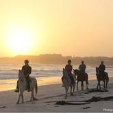 Horse Trails #gansbaaipearlybeachhorsetrails