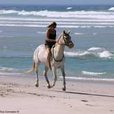 #gansbaaipearlybeachhorsetrails