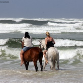 #gansbaaipearlybeachhorsetrails