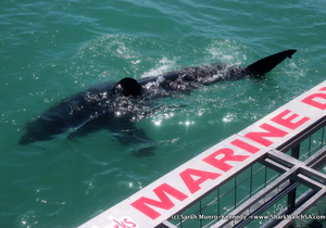 Blog Update - 03 January 2018