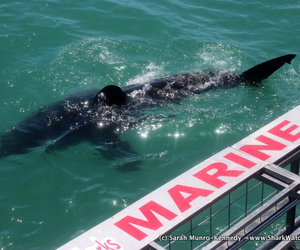 Blog Update - 03 January 2018