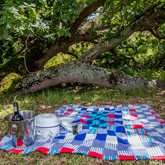 Picnic and braai area