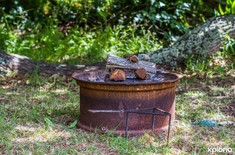 Goedvertrou_braai_under_oak_tree_1515402925