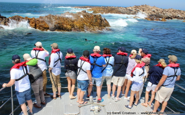 1_IMG_0347_1515745340 1_IMG_0347_1515745340