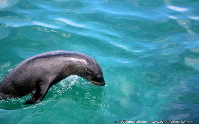 1_IMG_1392_1516352416 1_IMG_1392_1516352416